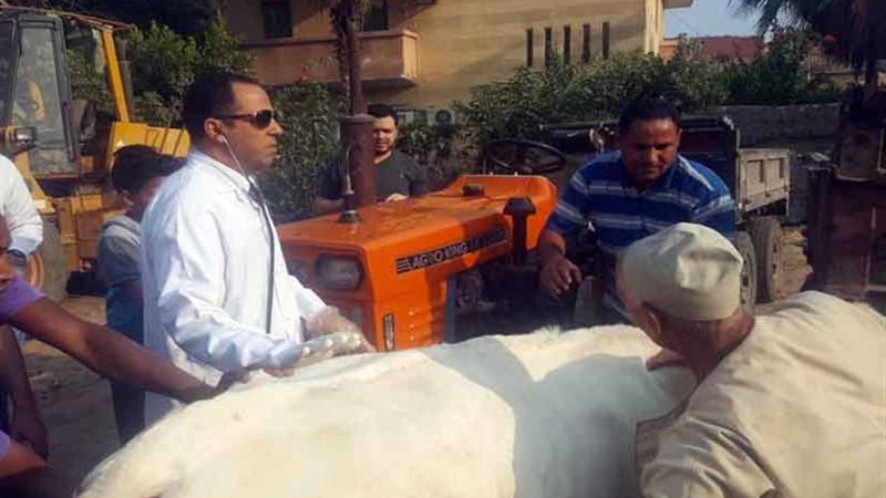 رئيس جامعة دمنهور