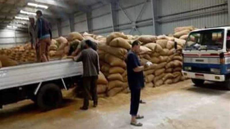 شون وصوامع كفرالشيخ