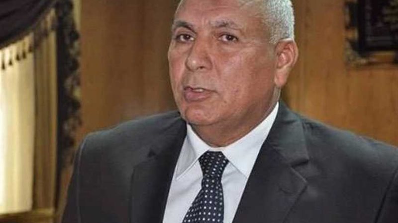 محافظ الوادي الجديد