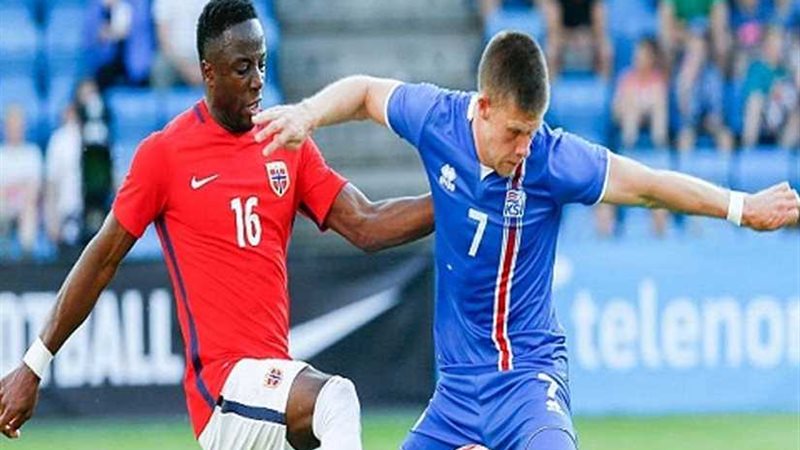 أيسلندا تستعد لكأس