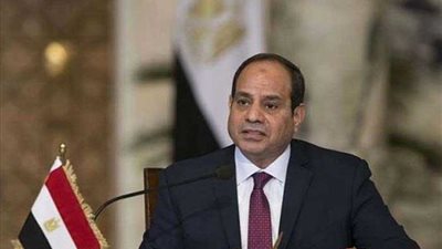 السيسى: لم أتدخل لحجب أى مسلسل وأتمنى عدم إقحام اسمى فى كل شىء