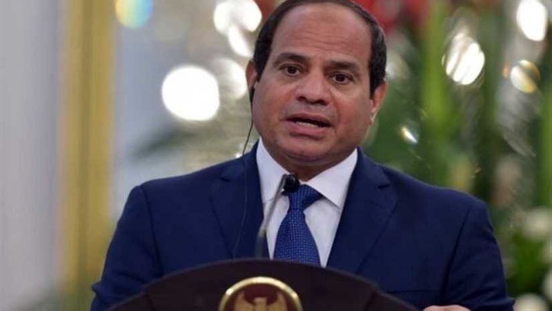 الرئيس السيسي يشكل
