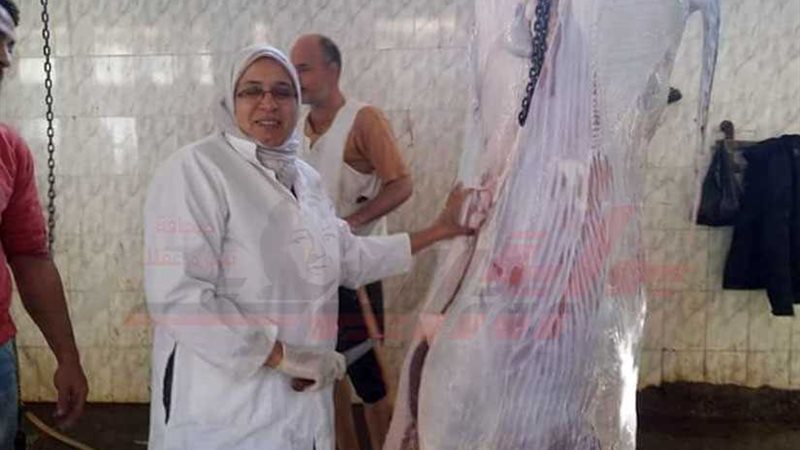 «ثناء» صديقة الجزارين