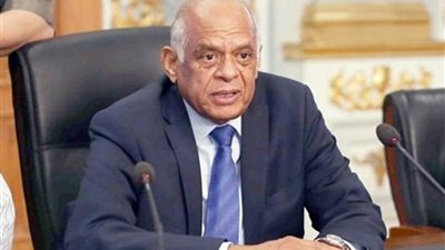 غدًا في جامعة طنطا.. رئيس النواب يناقش مسؤولية الدولة عن شغب الملاعب