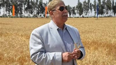 توريد ما يزيد على 50 ألف طن من محصول القمح لموسم هذا العام بالإسماعيلية