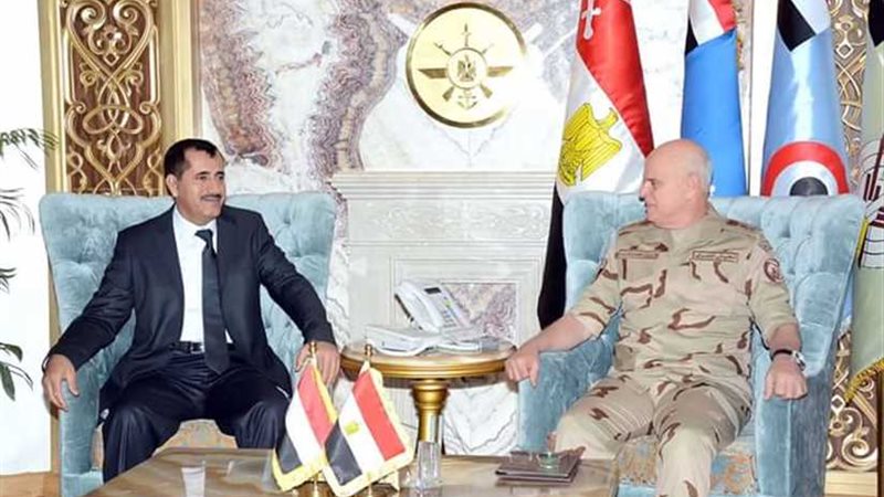 الفريق محمد فريد