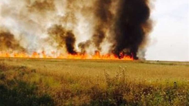 العراق: داعش يحرق