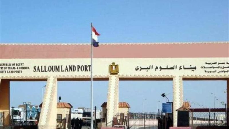 عودة 307 مصريين من