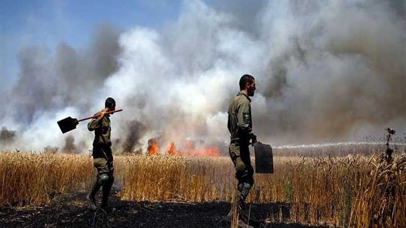 الطائرات الورقية