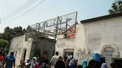 الأسود والضباع فى استقبال زوار حديقة حيوان بنى سويف