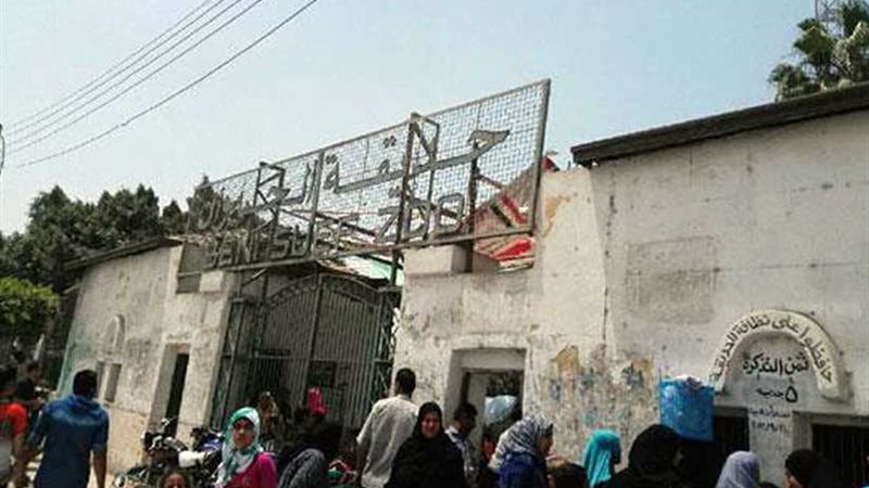 الأسود والضباع فى