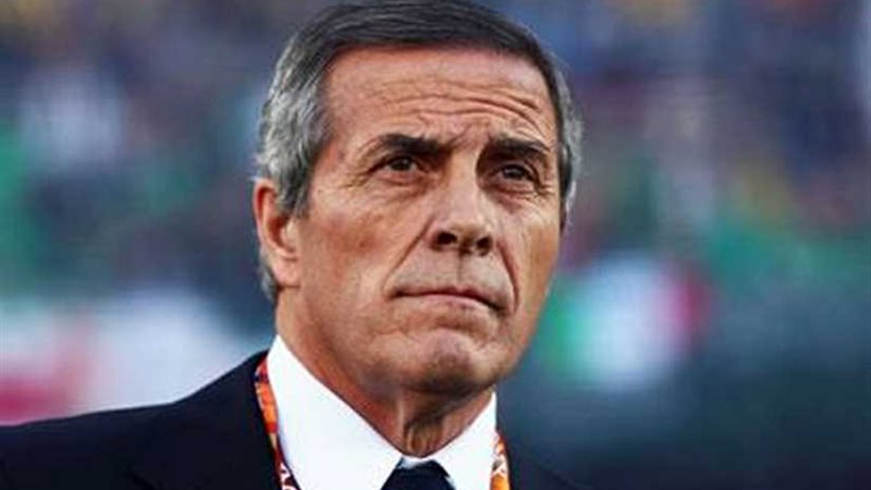 تاباريز : الخبرة