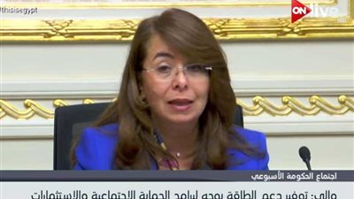 التضامن الاجتماعي: توفير دعم الطاقة يوجه لبرامج الحماية الاجتماعية والاستثمارات..(فيديو)