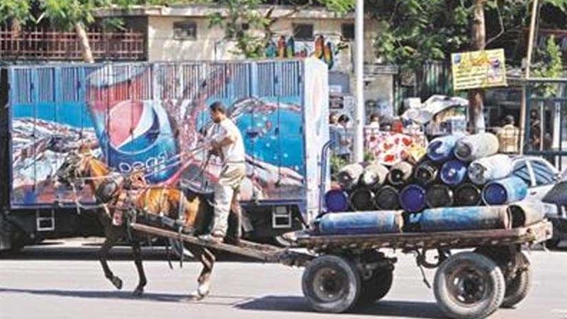 إحالة سريح ببلقاس