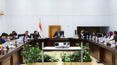 تفاصيل اجتماع للجنة المصرية - اليابانية بالمتحف الكبير