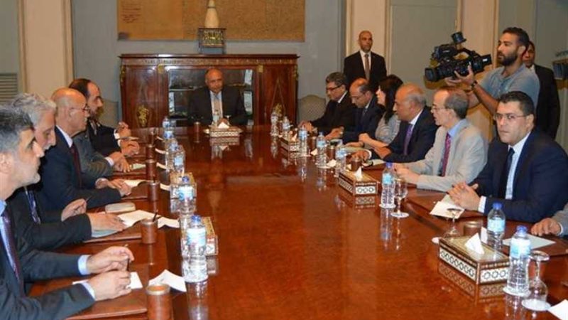 شكري يستقبل وفد هيئة