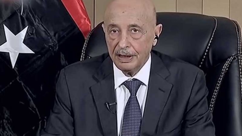 صالح يشكرالجيش لتحرير