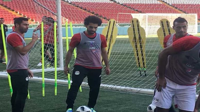 الشناوي ينضم للتدريبات