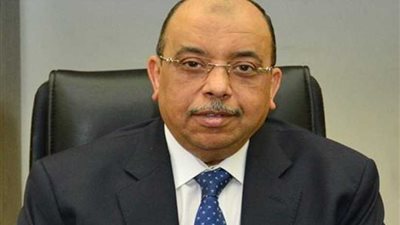 شعراوي: حريصون علي إجراء انتخابات المحليات