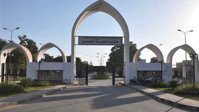 17 مليون جنيه دعما لطلاب جامعة المنيا هذا العام