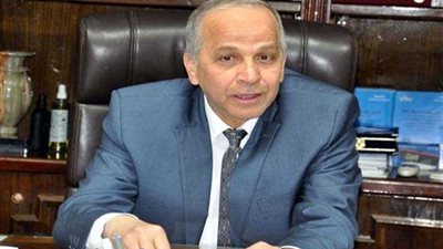 محافظ القليوبية ينفي صرف مكافأة 10 آلاف جنيه عن تشغيل DJ خلال ثورة 30 يونيو