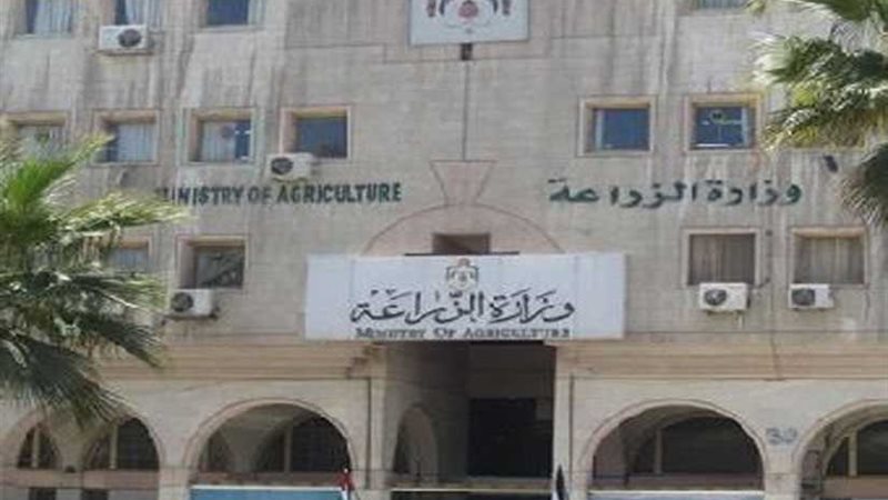 الزراعة تطرح 20 قطعة