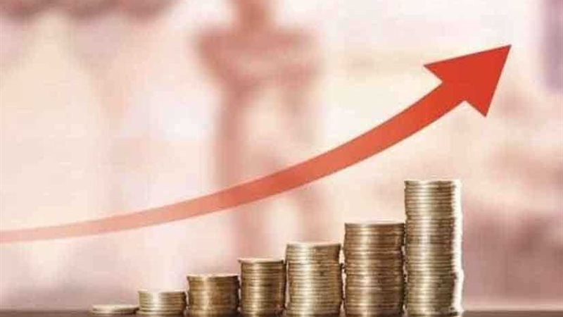 بالإنفوجراف.. ثمار