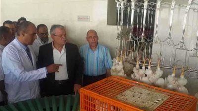 محافظ المنيا يتفقد المجزر الآلي 