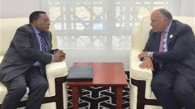 وزير الخارجية يناقش تطورات مفاوضات سد النهضة مع نظيره التنزانى