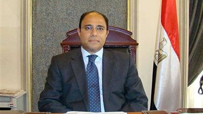 تفاصيل لقاءات سامح شكري مع دول الجوار الإفريقي.. (فيديو)