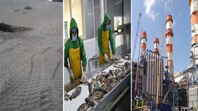 بركة غليون ومحطة كهرباء البرلس واستغلال الرمال السوداء مشروعات عملاقة بكفر الشيخ