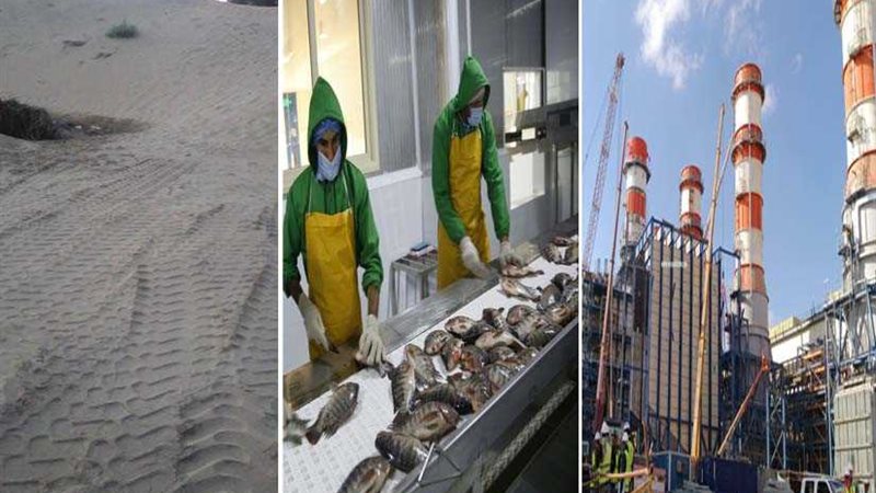 بركة غليون ومحطة