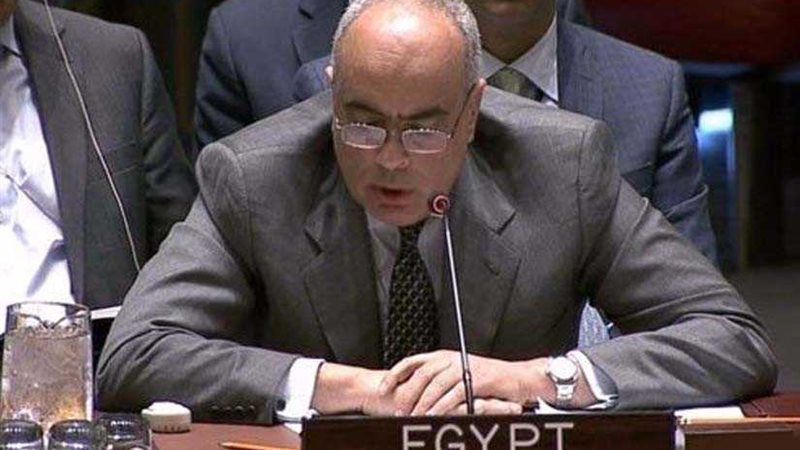 مندوب مصر بالأمم