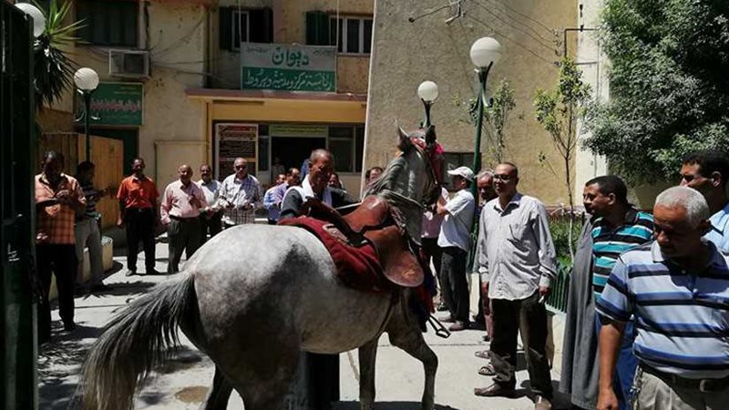 الدسوقي: ننتظر افتتاح