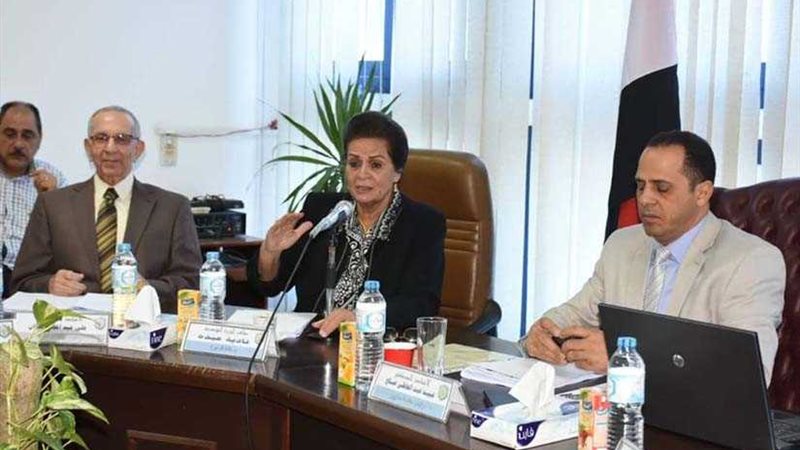 مجلس جامعة دمنهور