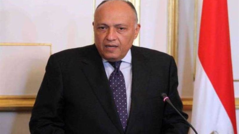 شكري يوجه من القمة