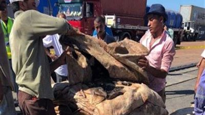 جمارك الدخيلة تحبط محاولة تهريب أكثر من 5 أطنان حشيش