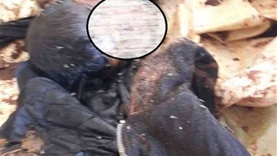 تفاصيل جديدة في واقعة طبخ 3 شبان بـ