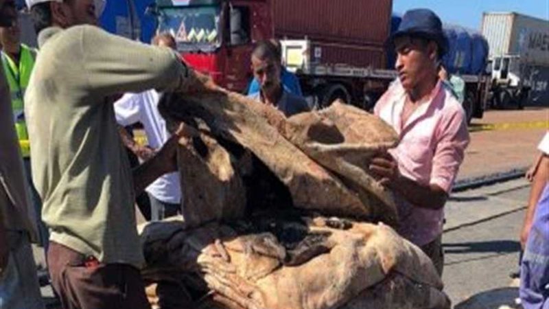 جمارك الدخيلة تحبط