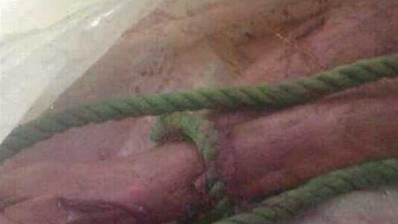 طبخ 3 شبان في ماء