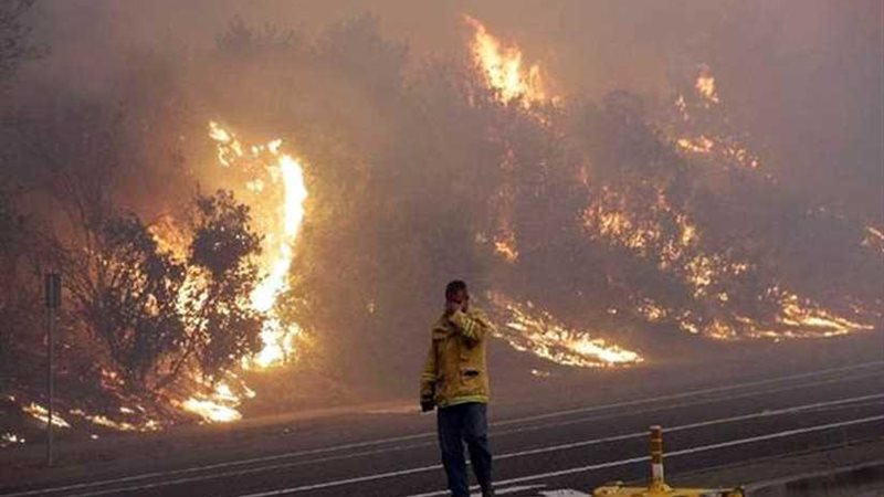 الحرائق تلتهم غابات