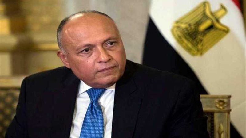 وزير الخارجية يصل