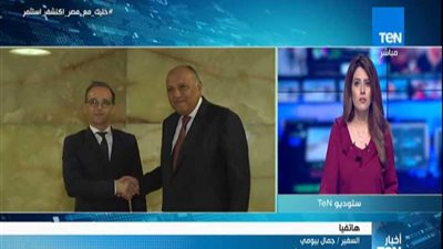 جمال بيومي: ألمانيا لها دور واضح جدًا في تطور قطاع الكهرباء في مصر.. (فيديو)