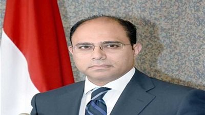 أبوزيد: ألمانيا حرصت على معرفة تطورات 