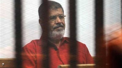 الجنايات: المؤبد لمستشار مرسي و13 آخرين في قضية 
