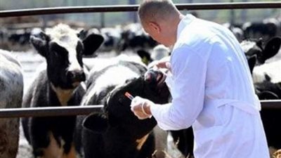 الزراعة: 7 أسباب لانتشار 