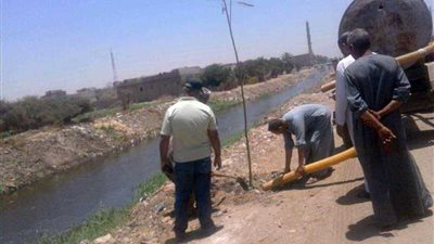 تشجير مداخل القرى وزراعة طريق مصرف المحيط بالمنيا