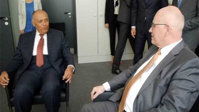 وزير الخارجية يلتقي زعيم الأغلبية البرلمانية بالبوندستاج الألمانى