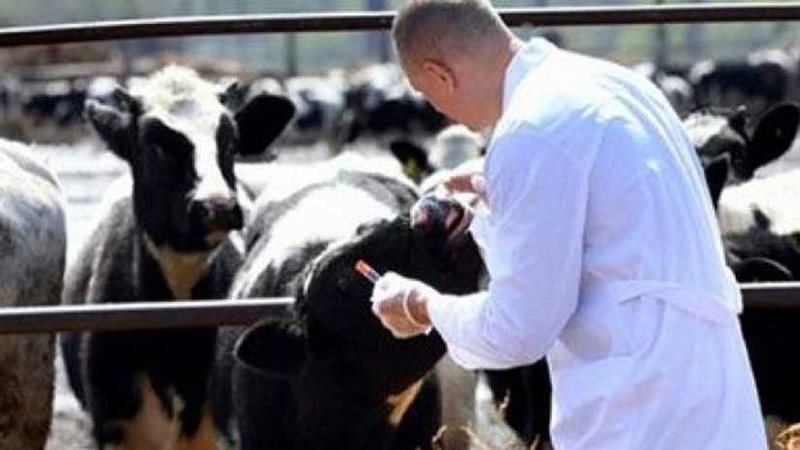 الزراعة: 7 أسباب