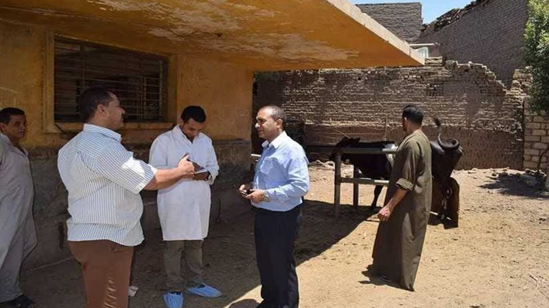 حملة لتحصين الماشية